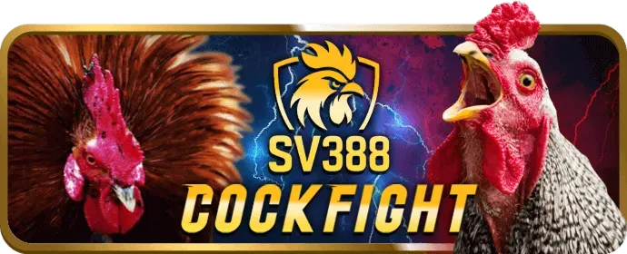 Liên hệ hỗ trợ 138bet win